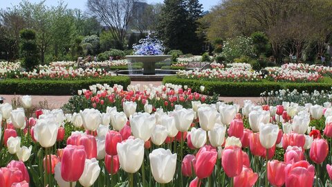 Atlanta Botanical
