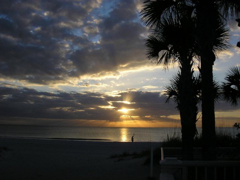 Barefoot Beach Resort