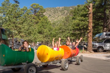 Barrel Train Rides