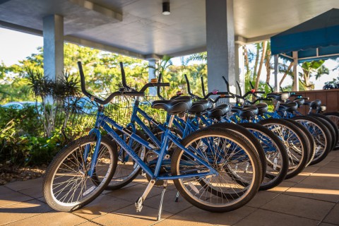 Bicycles For Guest Use