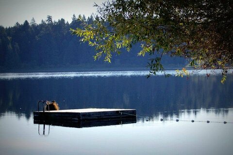 Brannen Lake Rv Park