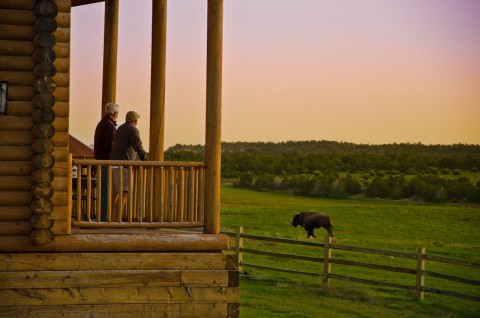 Buffalo Vista Views