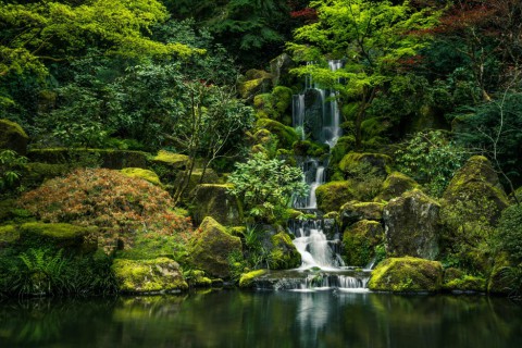 Japanese Garden Portland