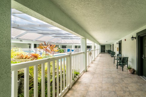 Courtyard Area