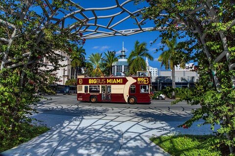 Hop on hop off bus Miami