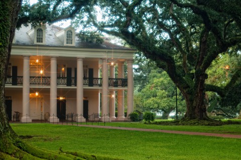 Evening At Oak Alley