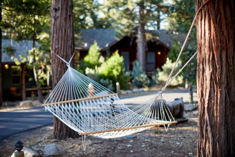 Evergreen Lodge At Yosemite