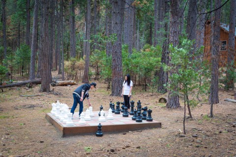 Evergreen Outdoor Chess