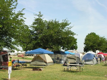 Fresno Koa