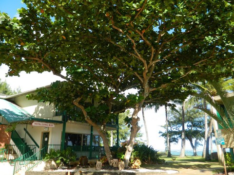 Front Lobby Entrance