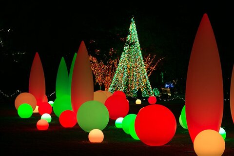 Garden Lights Holiday