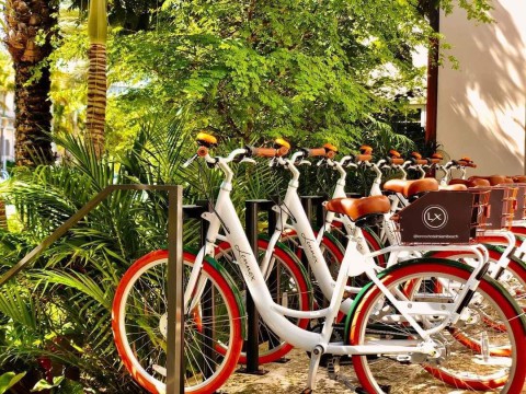 Guest Bicycles