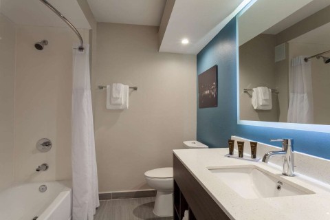 Guest Room Bath