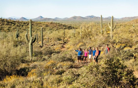 Had Day Hiking Group Cacti 920x589