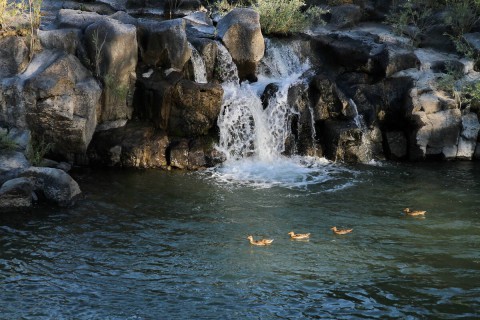 Idaho Falls 6 B958