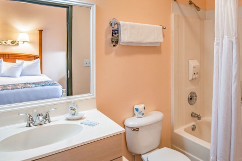 King Room Bathroom