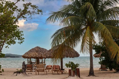 een strand met een hut en stoelen onder een palmboom