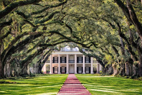 Oak Alley Plantation