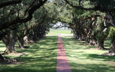 Oak Alley Plantation