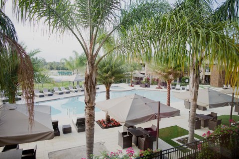 Patio Pool View