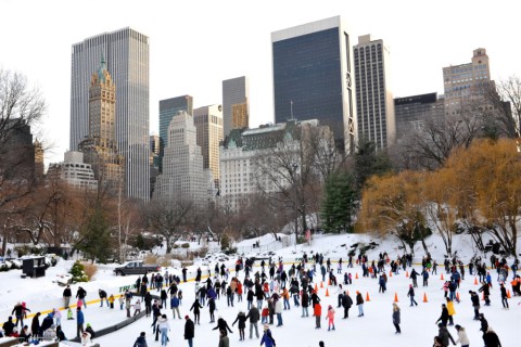 Trump Rink, New York City