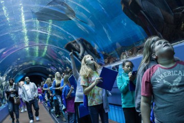 Aquarium Tunnel, vakantie Atlanta
