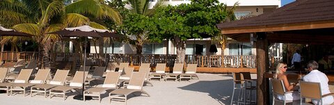 Ocean Front, Sandy Haven