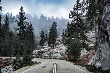 Road Curve On The Way To Sequoia National Park DA2RQ2K