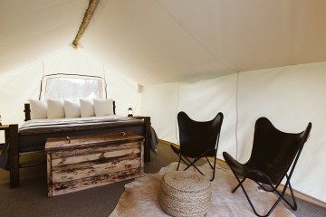 Safari King Tent