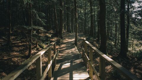 wandelpad in de regio Halifax, Nova Scotia