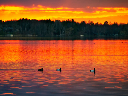 Lake Bemidji zonsondergang, Minnesota