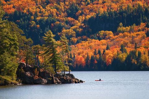 Kajakken in Provincial Park Algonquin, Ontario, Canada