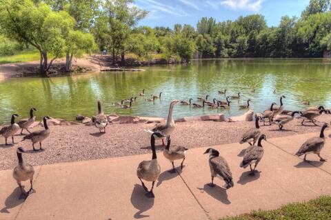 Sioux Falls
