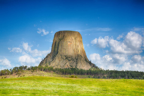 Shutterstock 1182793318