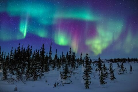 Aurora Borealis Churchill