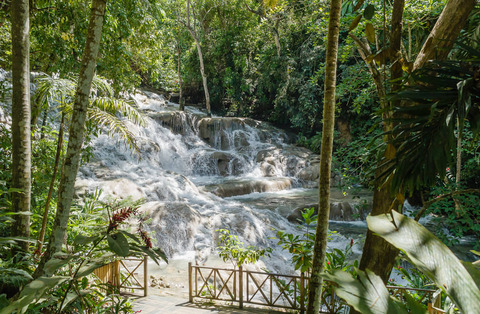Dunn's River Falls, Ocho Rios