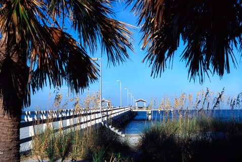 Cabbage Palms, Fishing pier, Fort DeSoto County Park, St. Petersburg
