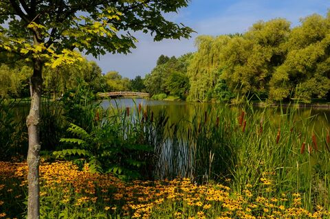 Victoria Park Lake in Kitchener Ontario
