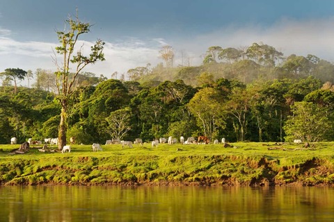 Boca Tapada, Costa Rica