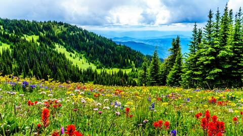Sun Peaks Canada