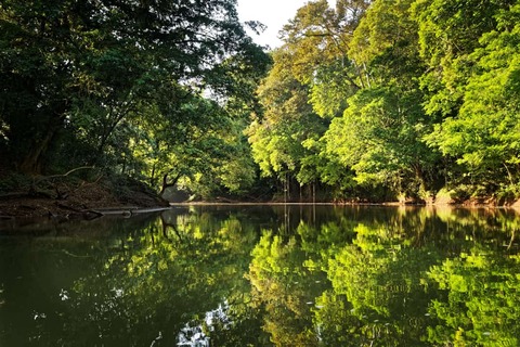 Rio San Carlos - Costa Rica