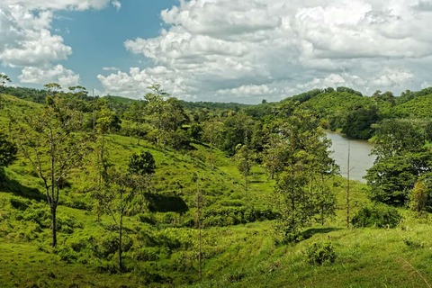 Boca Tapada uitzicht regenwoud
