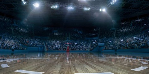 Professionele basketbalarena