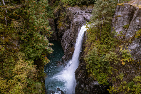 Shutterstock 1534677920