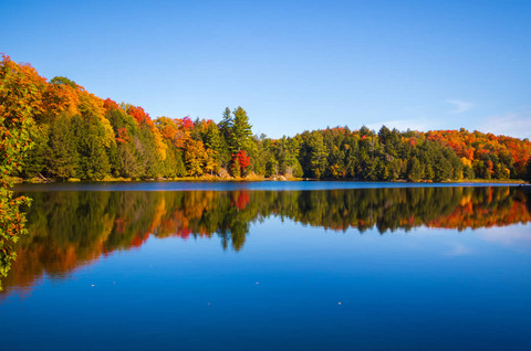 Meech Lake in Gatineau park