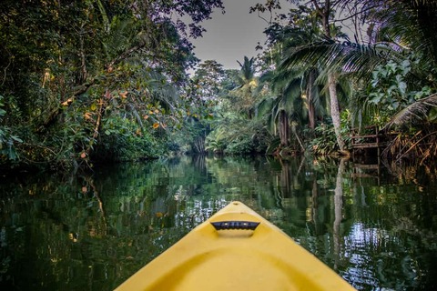 Kayaking in Puerto Viejo, Costa Rica