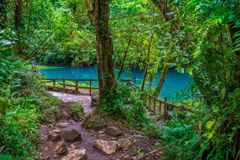 Rio Celeste met een turquoise rivier en blauw water - Tenorio national park Costa Rica