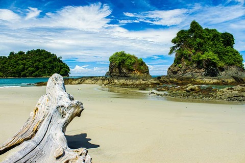 stuk drijfhout op de weelderige rotsformaties op het strand van het Manuel Antonio-park in Costa Rica.