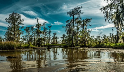 natuur rondreis louisiana