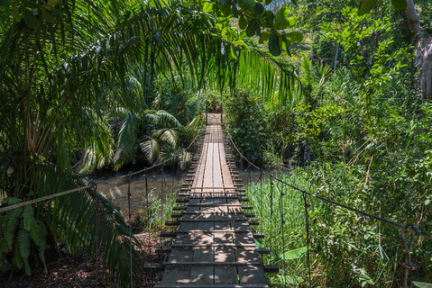 Hangbrug in de jungle van Drake Bay